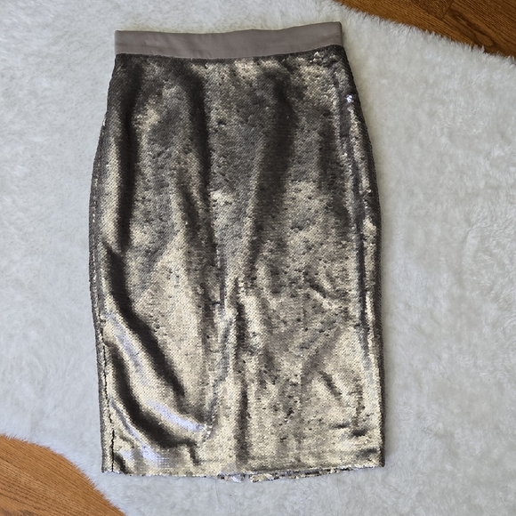 Banana Republic Dresses & Skirts - Banana Replubic Gold Sequin Pencil Skirt, Womens Size 0